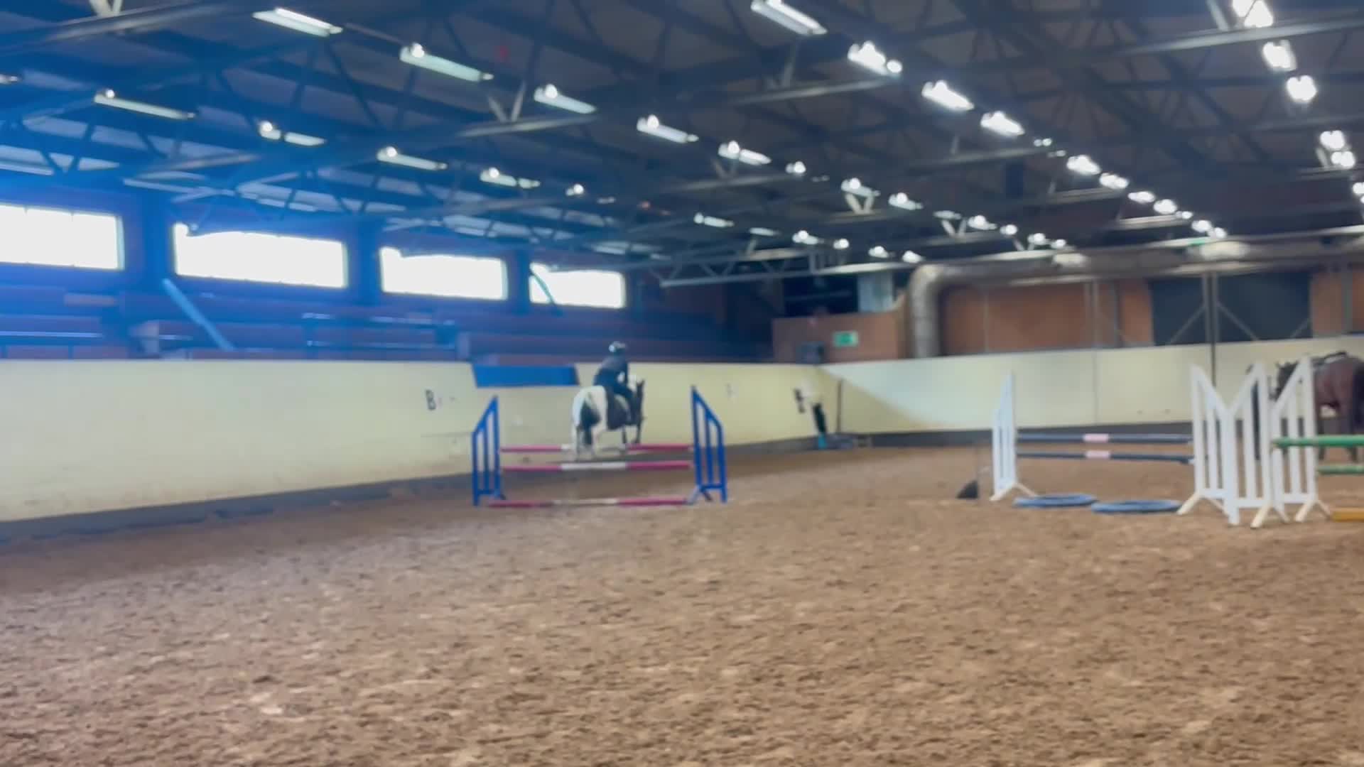 Hoppning hästar till salu: Snäll och trygg C-ponny - Video 2