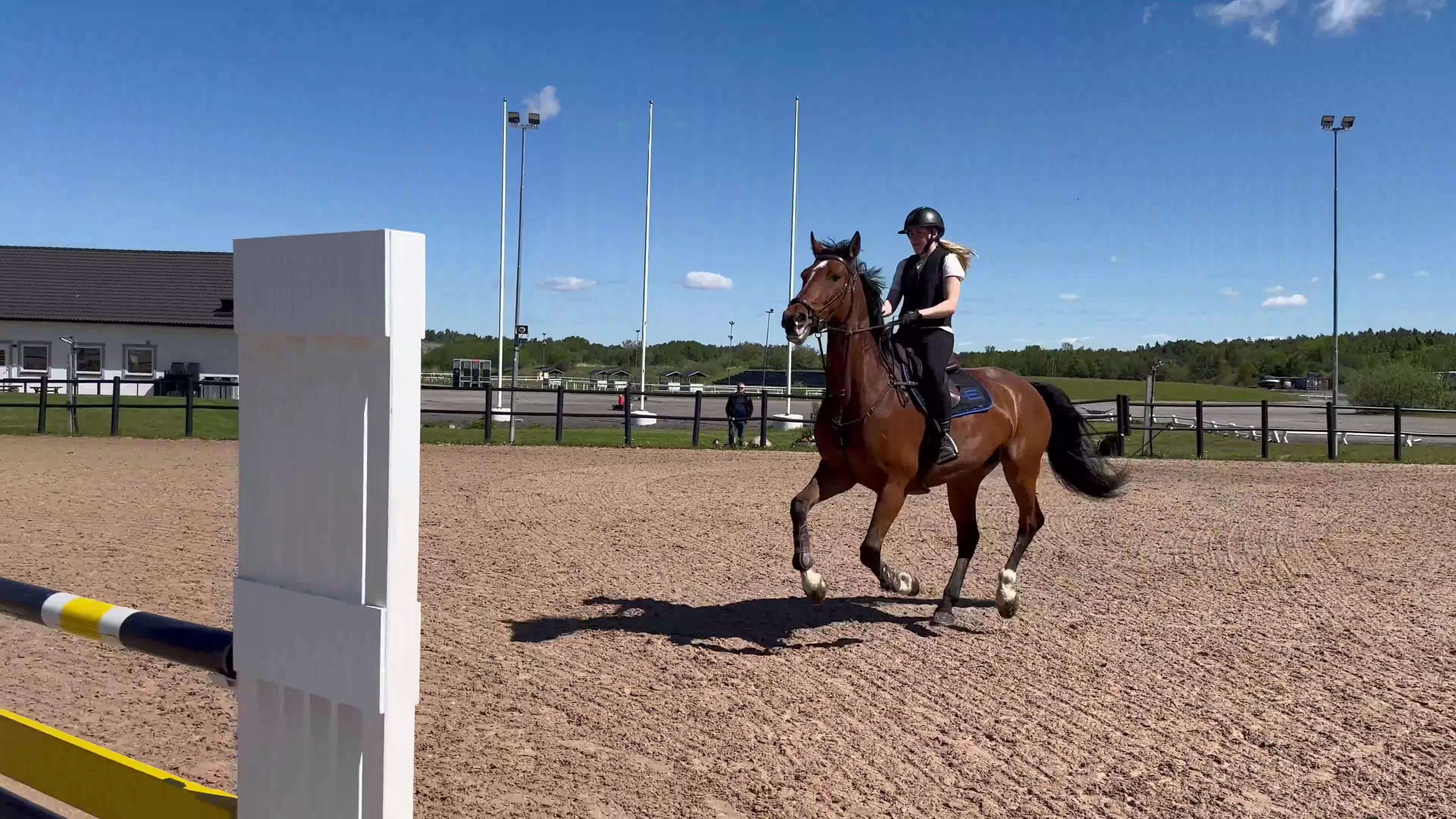 Hoppning hästar till salu: Valack med stor potential  - Video 3