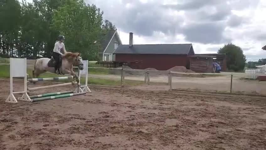 Allround hästar till salu: Fin C-ponny med hög kapacitet.  - Video 2