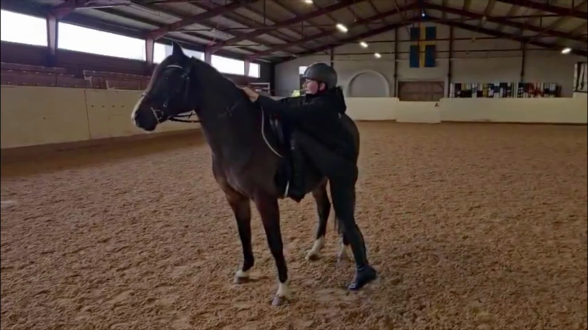 Allround hästar till salu: Supersöt c-ponny  - Video 1