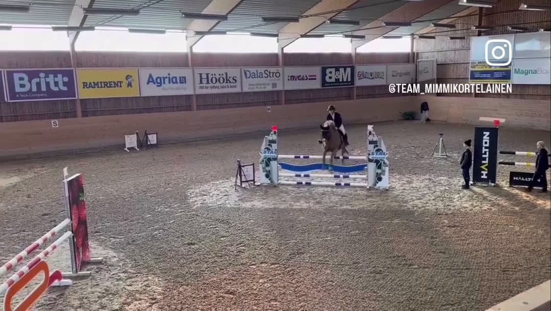 Hoppning hästar till salu: Vackert sto ✨ i Västerås - Video 2