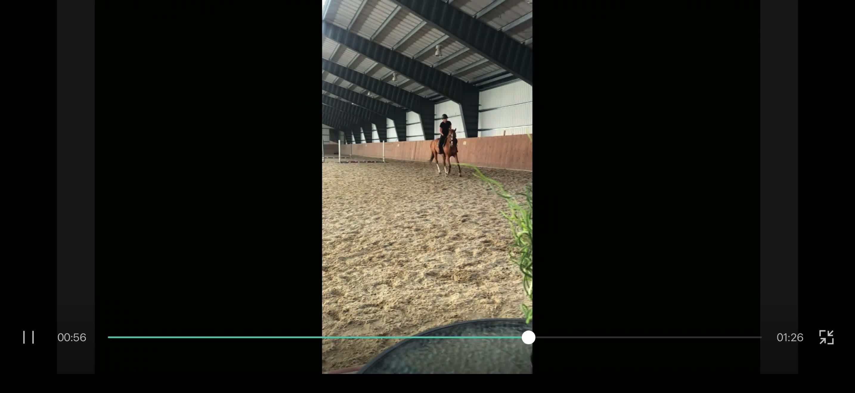 Allround hästar till salu: Charmigt fullblodssto med stor personlighet! i Hällingsjö - Video 4