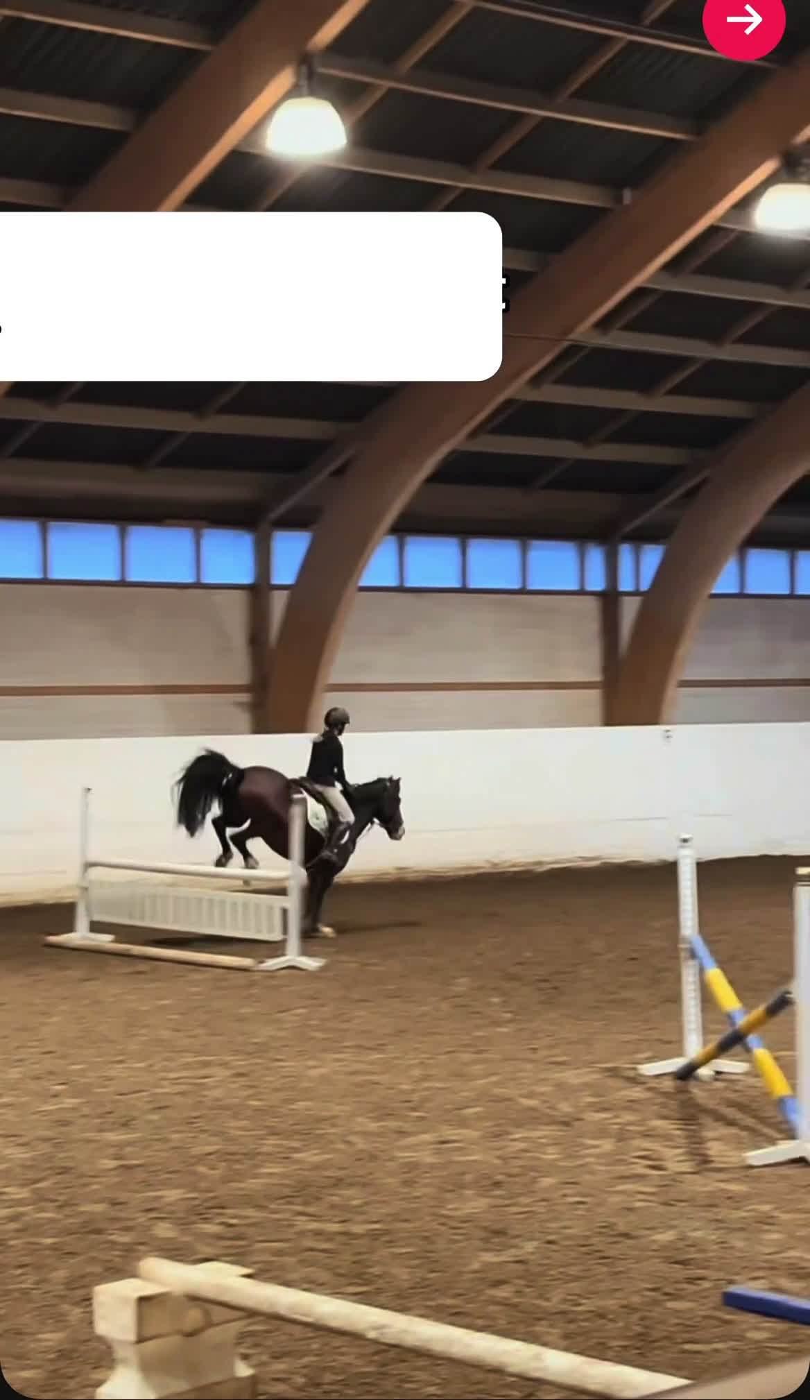  foderhäst sökes: Söker foderhäst eller medryttare i Ingarö - Video 3