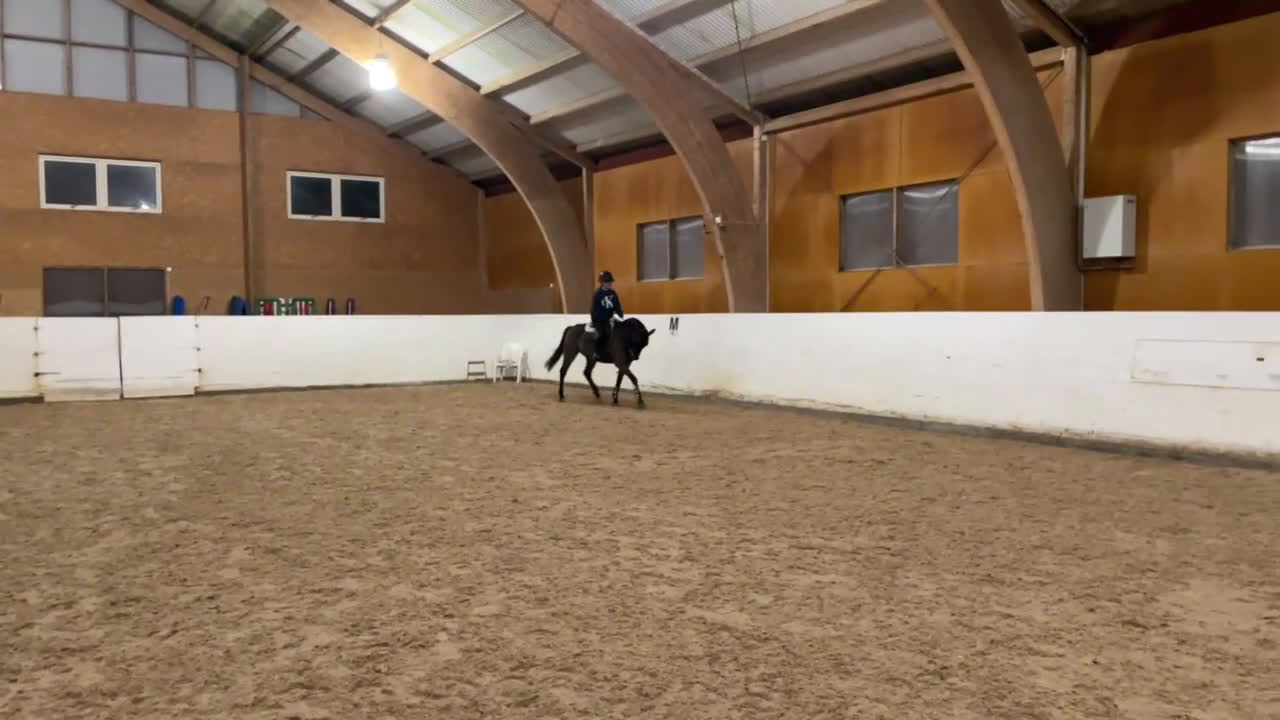 Allround hästar till salu: Fantastisk D-ponny till salu i Bankeryd - Video 4