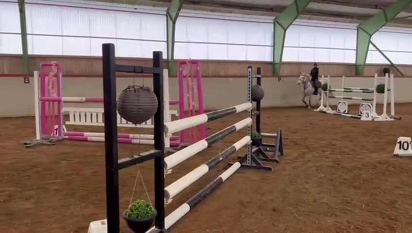 Hoppning hästar till salu: 🌟 Lilly – Tävlingsponny med LA + meriter  i Avesta - Video 2