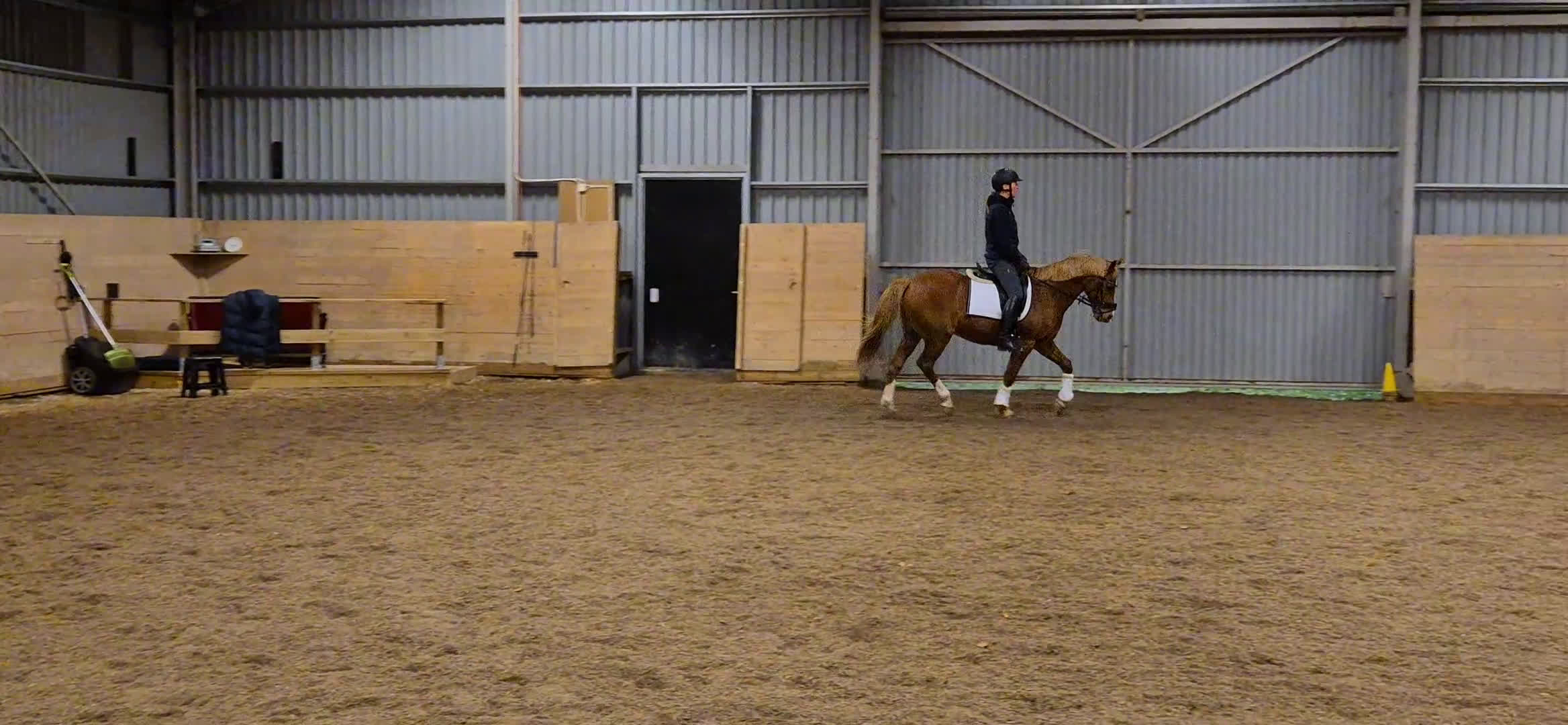 Dressyr hästar till salu: Trygg dressyrponny söker ny ryttare i Fjärdhundra - Video 3