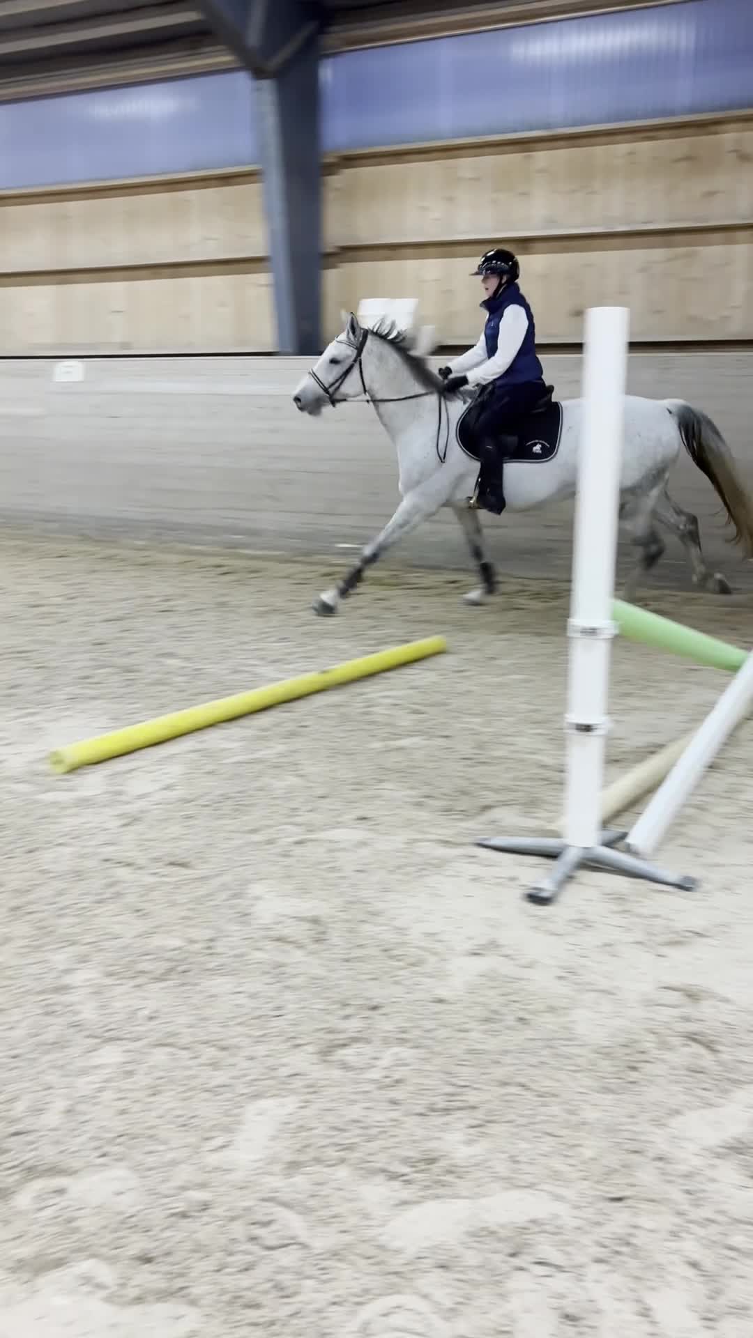 Hoppning hästar till salu: Hoppsto för den sattsande - Video 2