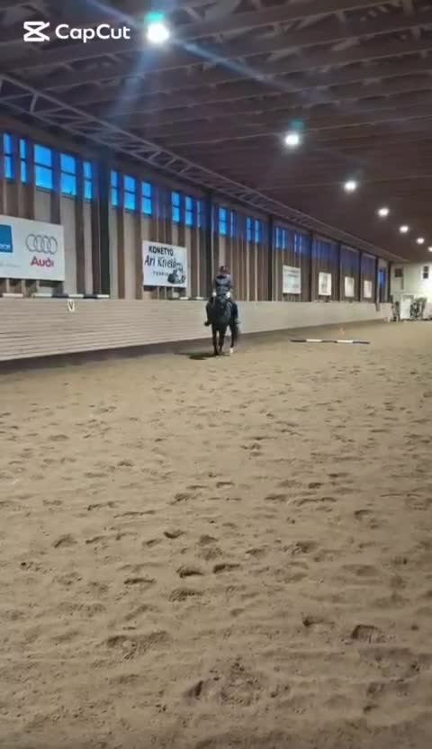 Dressyr hästar till salu: KWPN valack, 6 år - Video 4