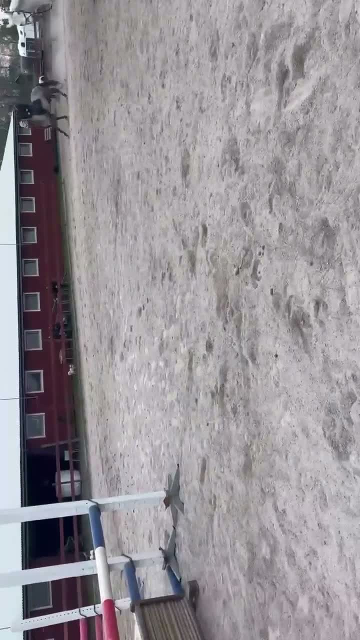 Allround hästar till salu: Fin maxad D-ponny - Video 2