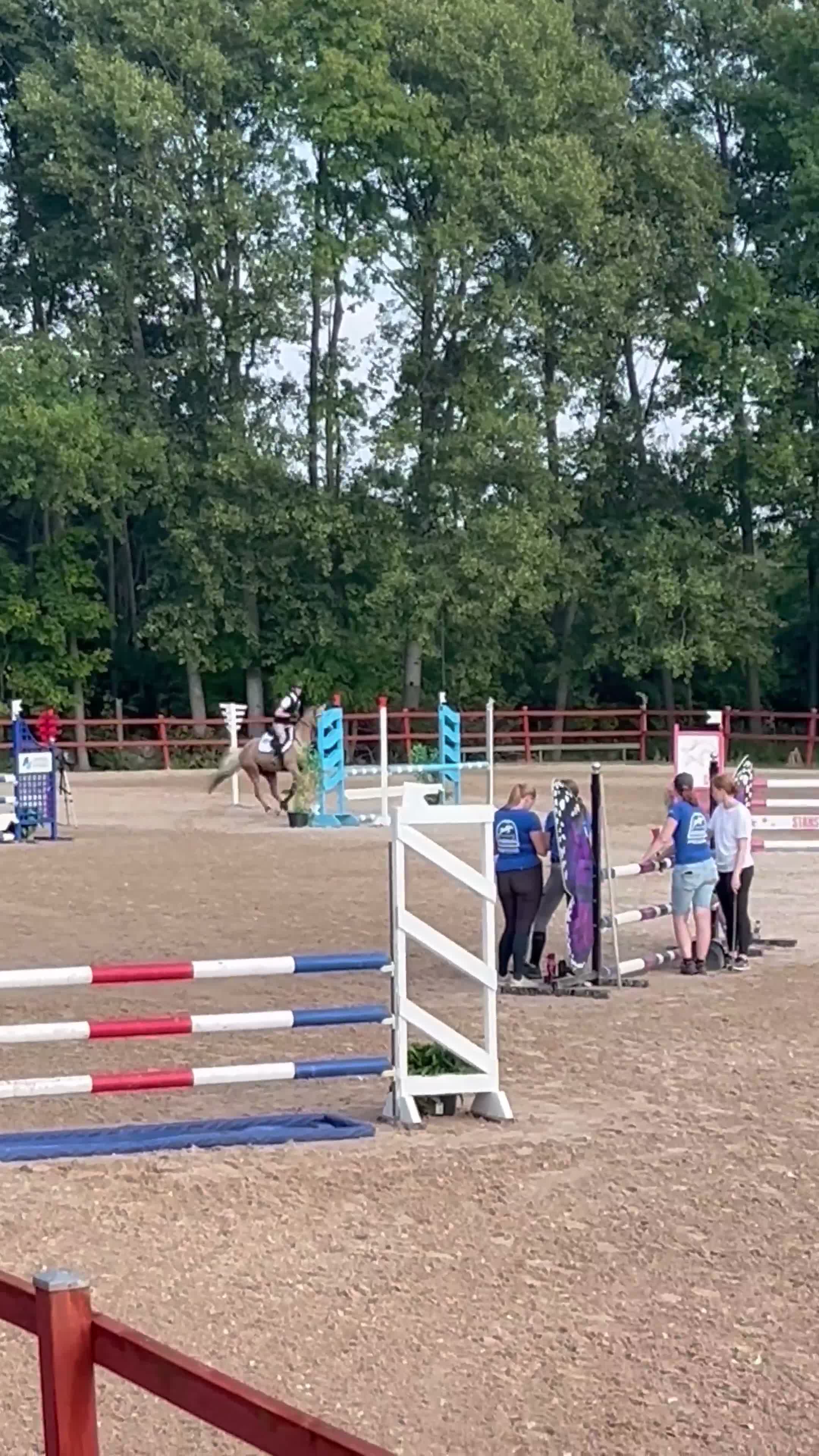 Hoppning hästar till salu: Fantastisk C-ponny med stor hoppförmåga - Video 2
