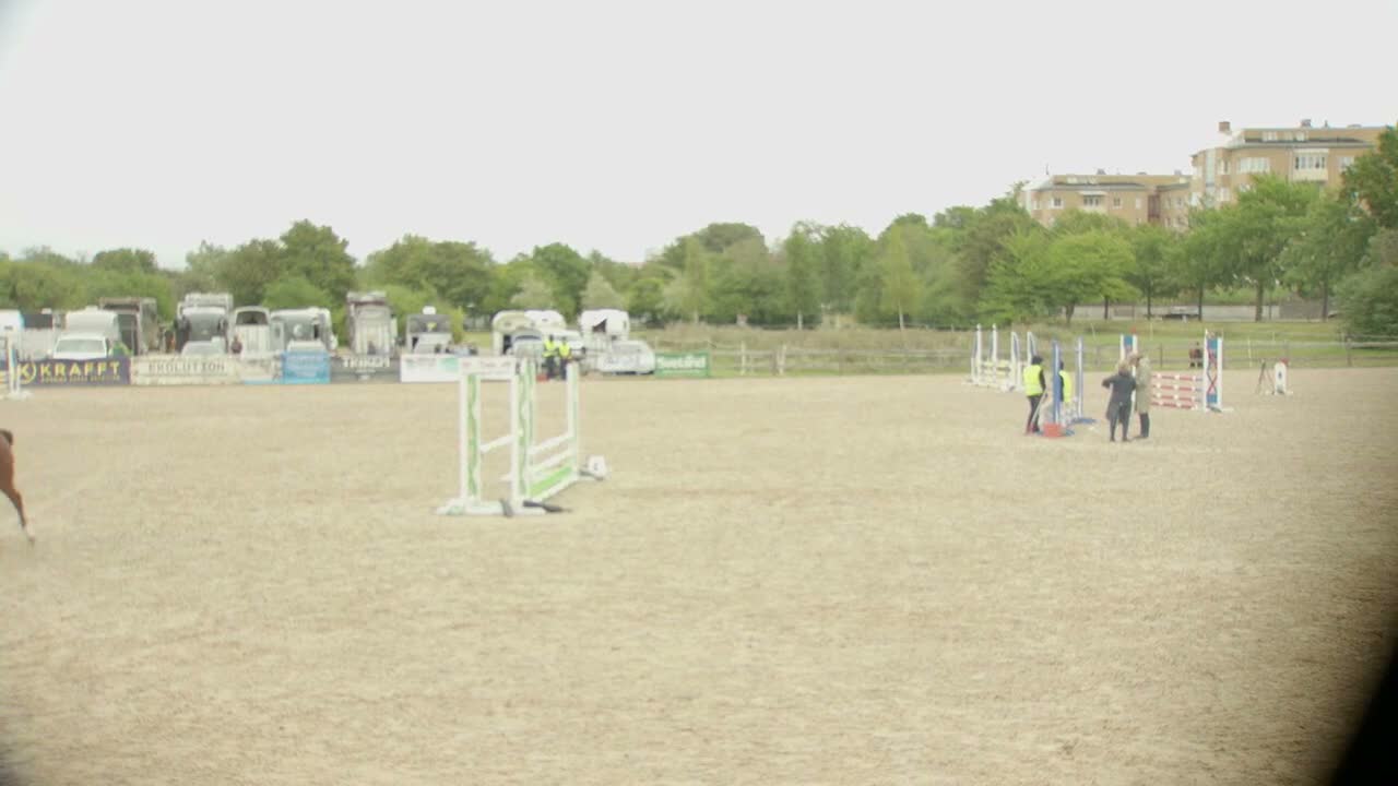 Dressyr hästar till salu: Välutbildad dubbeltalang Kat D! - Video 5