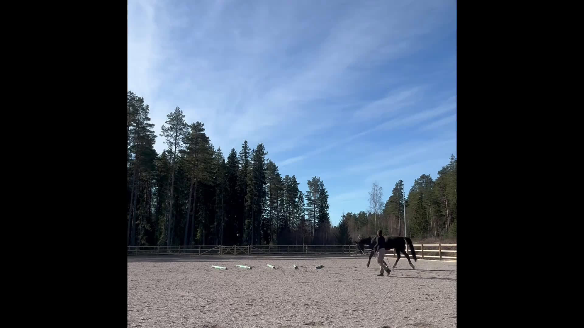 Allround hästar till salu: Din framtida stjärna inom hoppning eller dressyr  i Valbo - Video 2