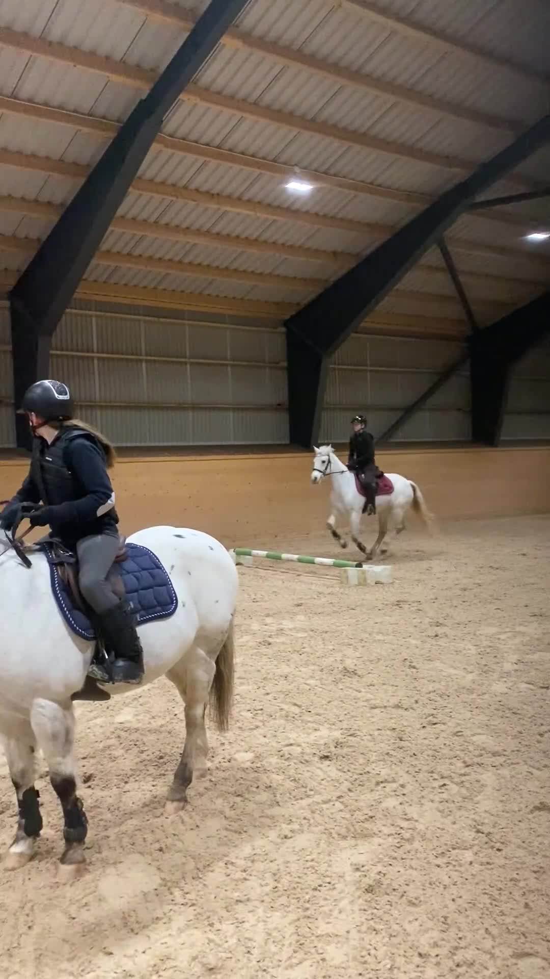 Hoppning hästar till salu: Läromästare, Connemarasto🌸  - Video 2