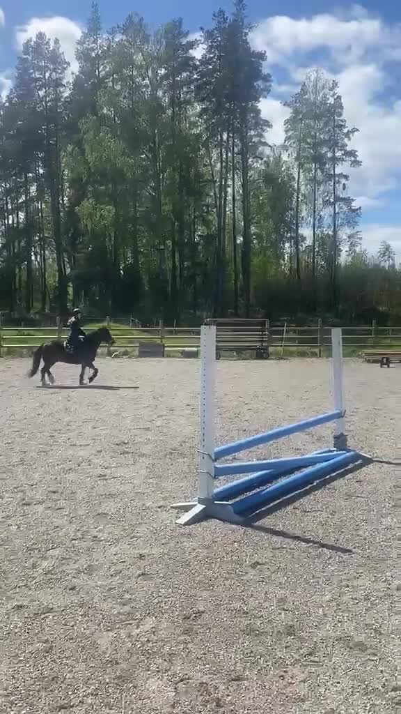 Hoppning hästar till salu: Femårig c-ponny med utvecklingsbarhet!  - Video 2