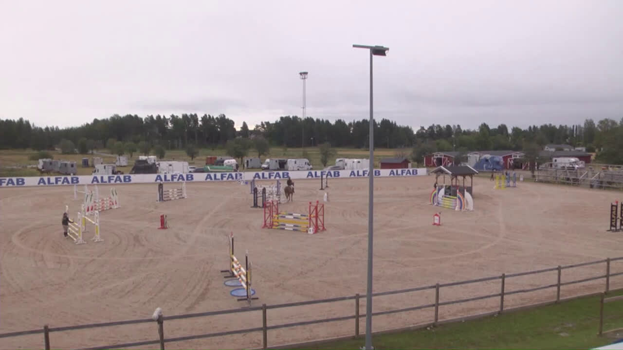 Allround hästar till salu: Hoppstammat sto med bra gångarter! - Video 3