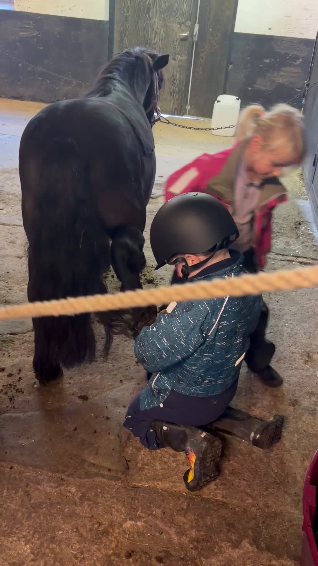 Allround hästar till salu: Bästa första ponnyn till den mindre ryttaren 🐴 i Skövde - Video 2