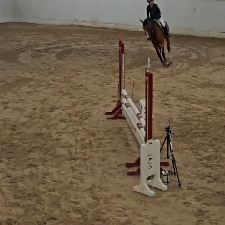 Hoppning hästar till salu: Fin hopphäst i Höllviken - Video 1