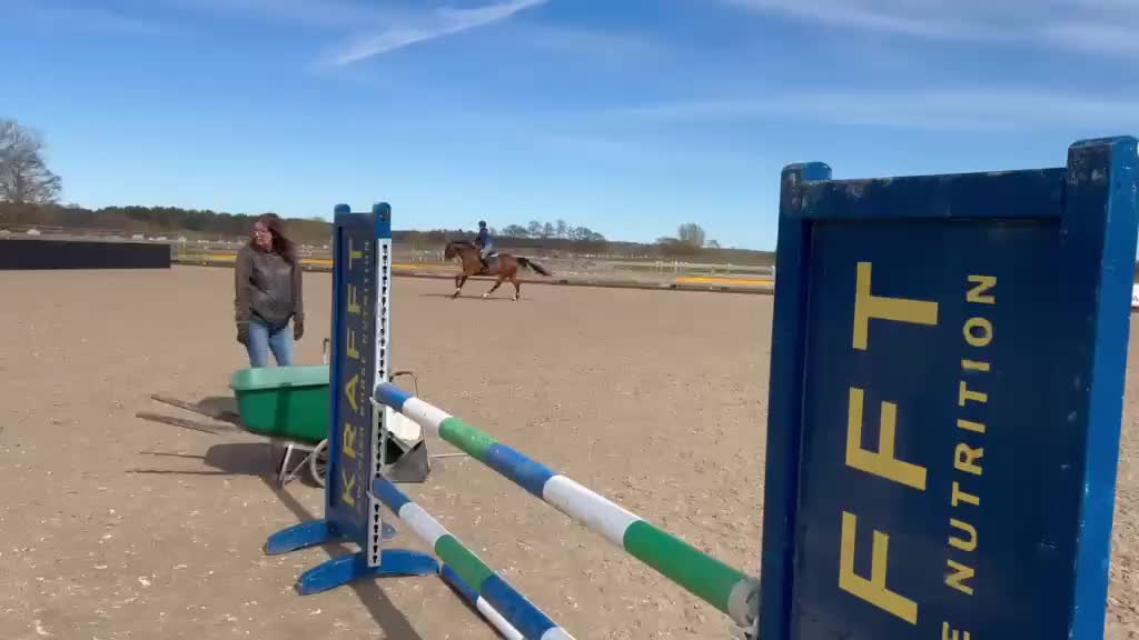 Hoppning hästar till salu: SWB Valack - Video 3