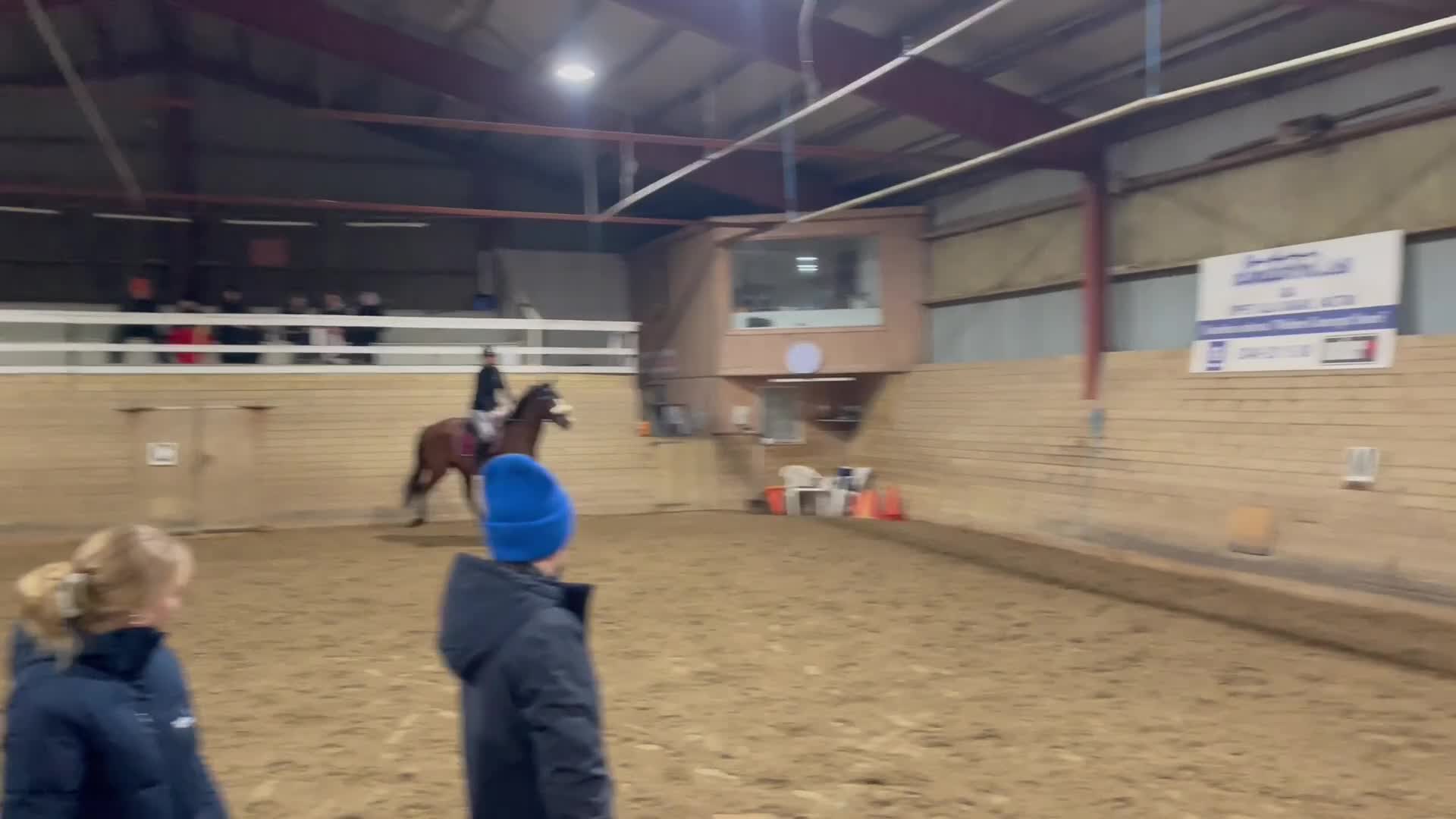 Allround hästar till salu: En bästavän och fin allroundhäst  i Varberg - Video 1