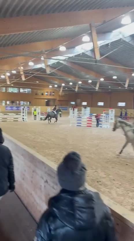 Hoppning hästar till salu: Lovande D-ponny med hjärta och potential 🌟❤️  - Video 3