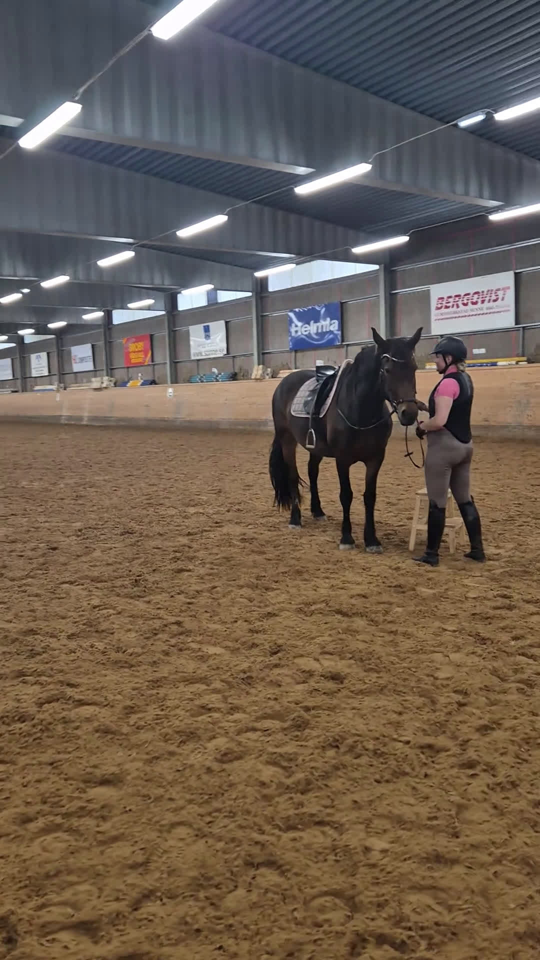 Allround hästar till salu: Snyggt Kallblodssto - Video 2