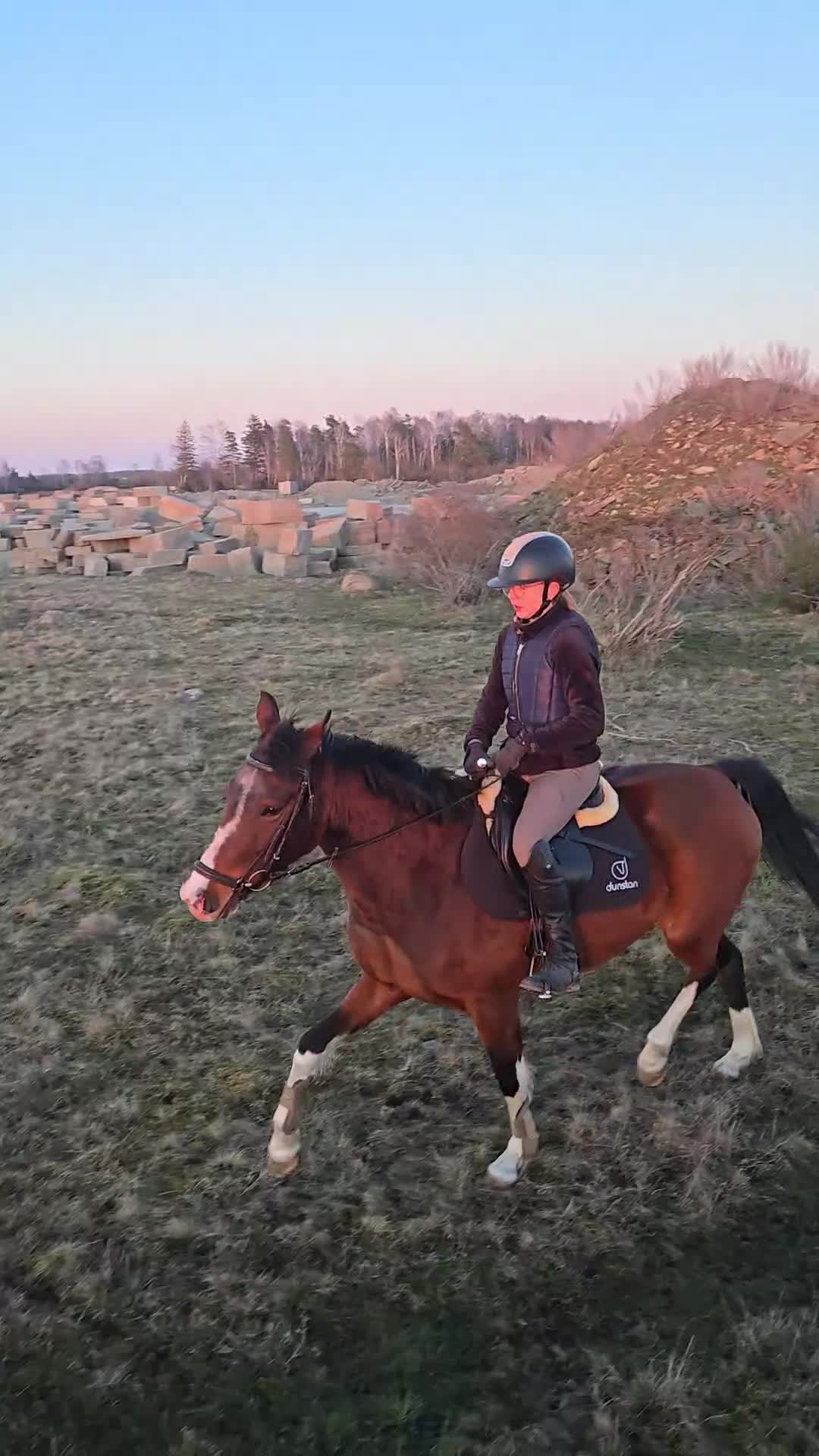 Allround hästar till salu: Trevlig d-ponny - Video 1