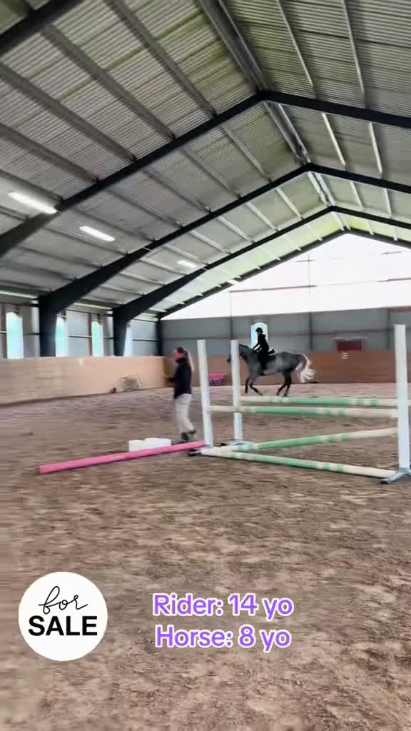 Hoppning hästar till salu: Kapabelt sto e Clinton II i Rottne - Video 5