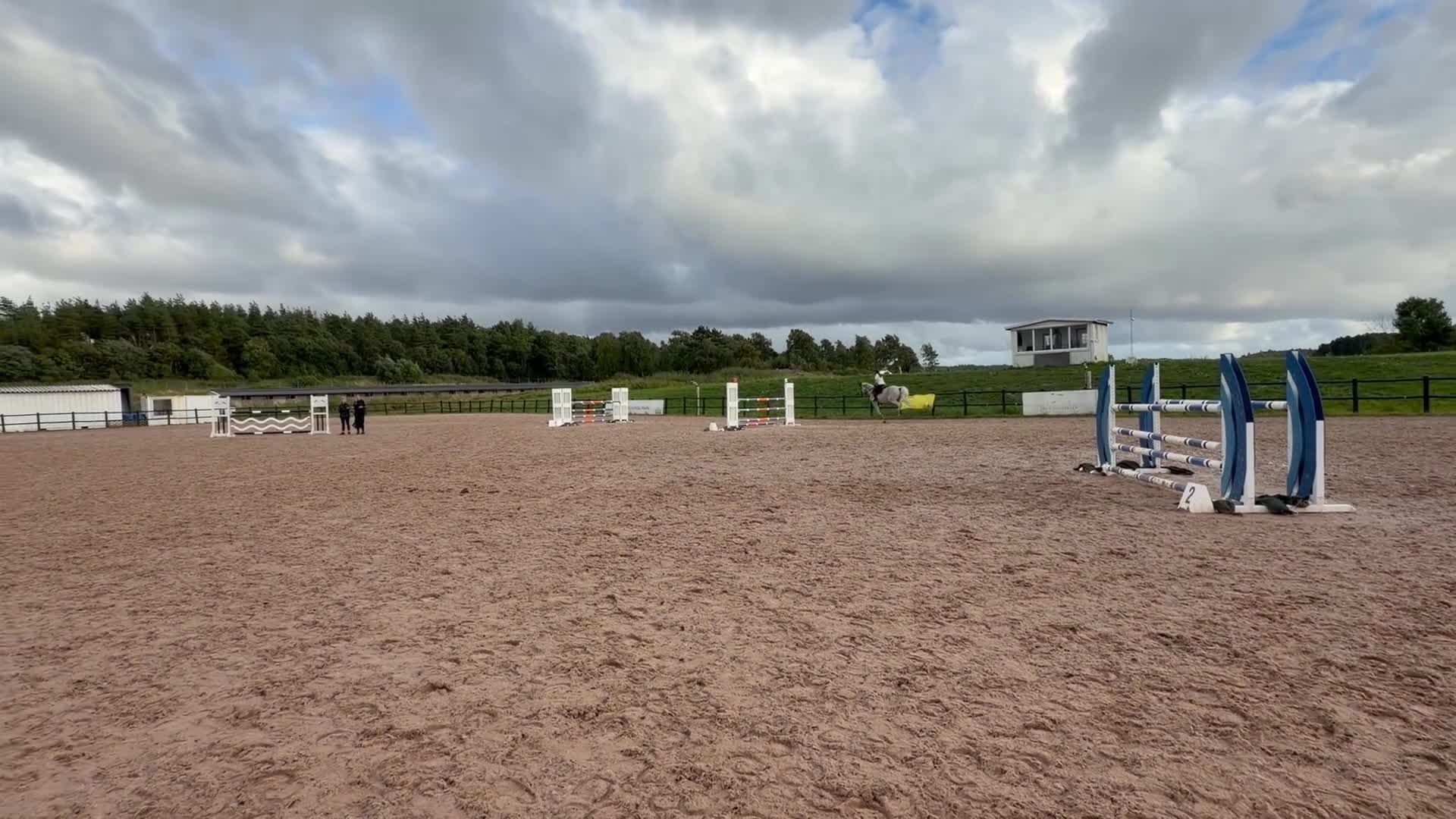 Hoppning hästar till salu: Selektionssto med placeringar i 1.45 - Video 2
