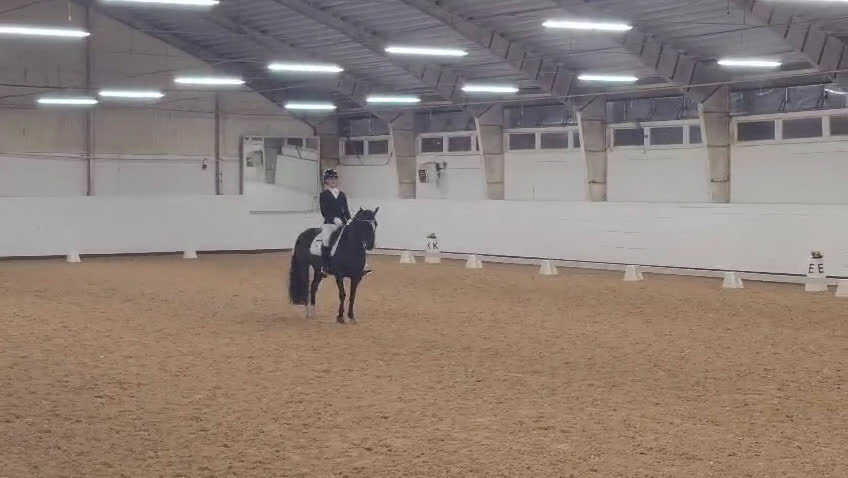 Dressyr hästar till salu: Drömponny med stor framtid i Rimbo - Video 1