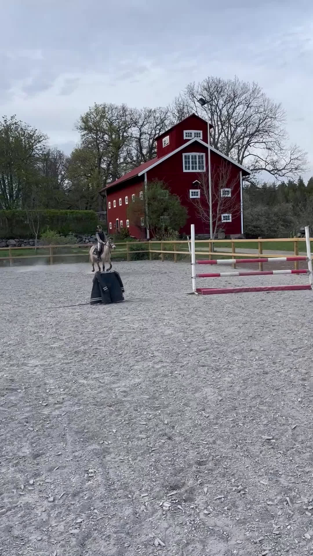 Sällskap hästar till salu: Unik bästa vän - Video 3