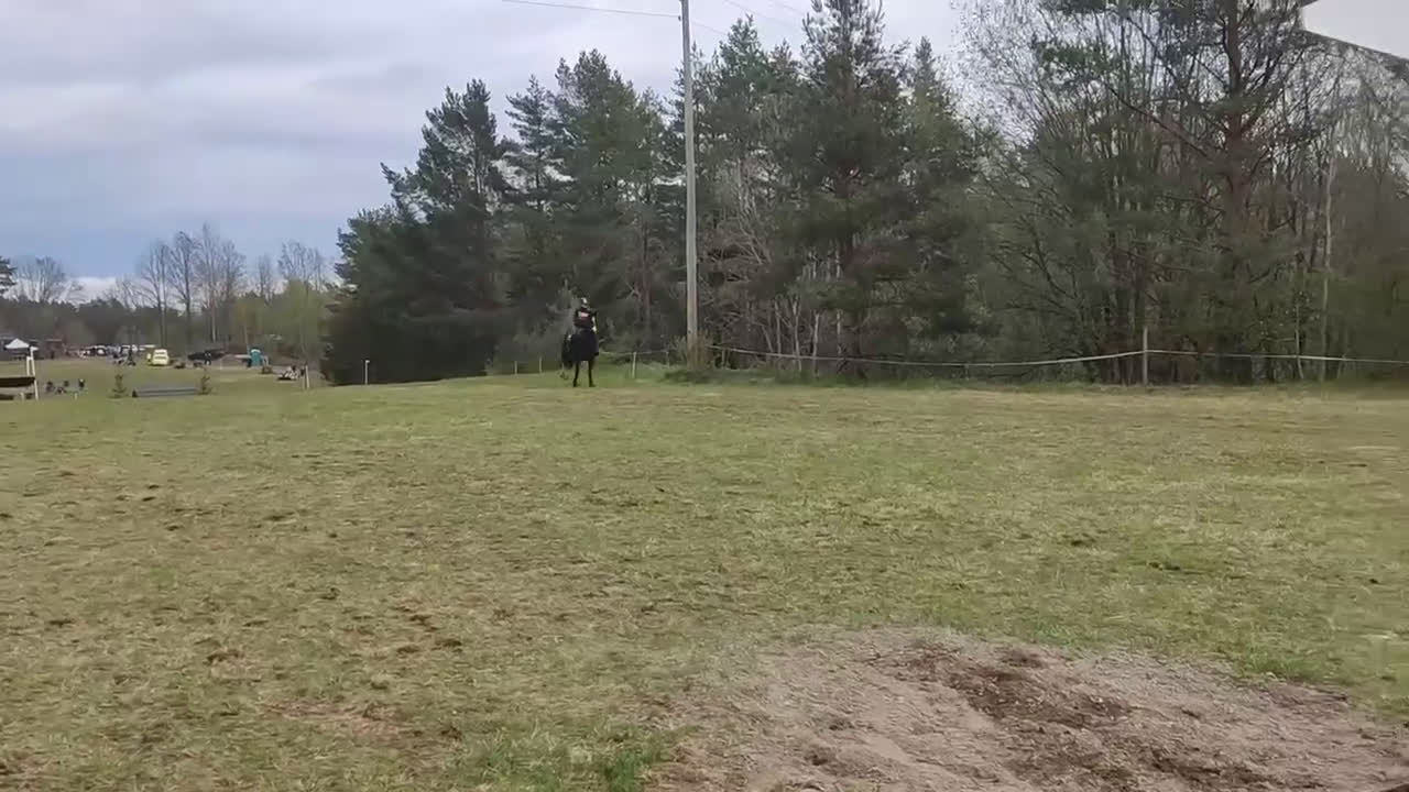 Hoppning hästar till salu: Sto med utstrålning  - Video 4