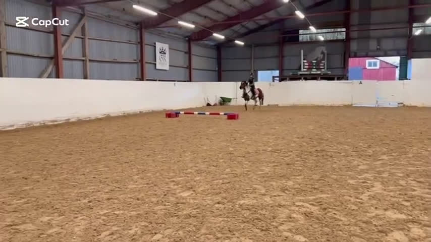 Allround hästar till salu: Hobbyponny i Ingelstad - Video 1