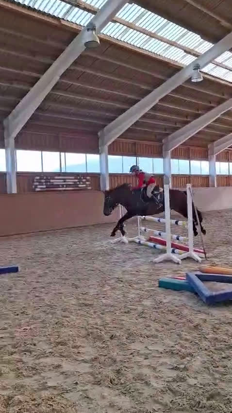 Hoppning hästar till salu: Trevlig C-ponny  - Video 4