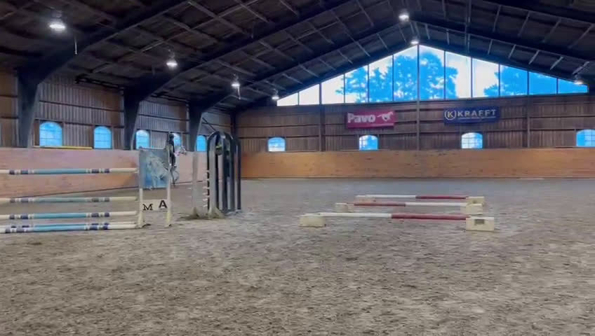 Hoppning hästar till salu: Sto -17 Hoppning 110/120. Perfekt Junior häst. - Video 1