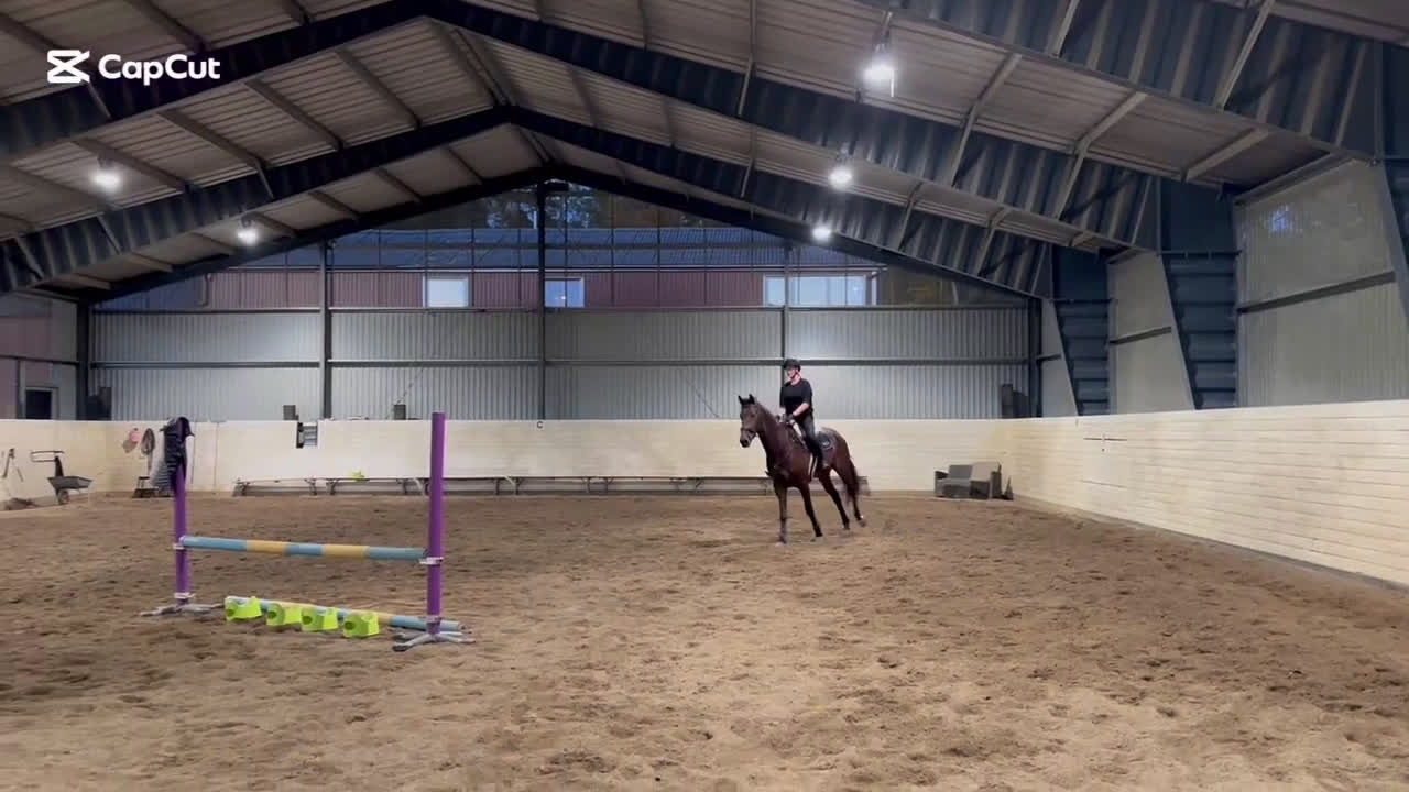 Dressyr hästar till salu: Bästa vän till träning eller tävling  i Kode - Video 4