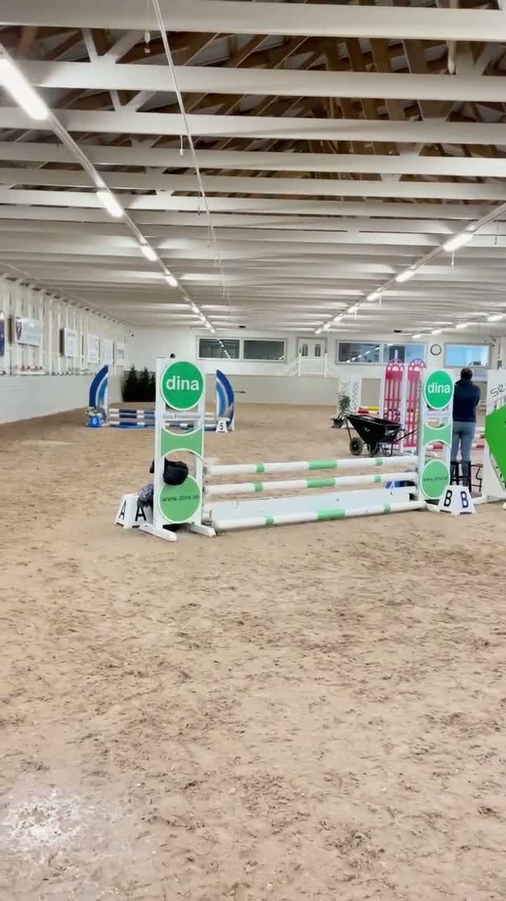 Hoppning hästar till salu: Läcker ungponny - Video 1