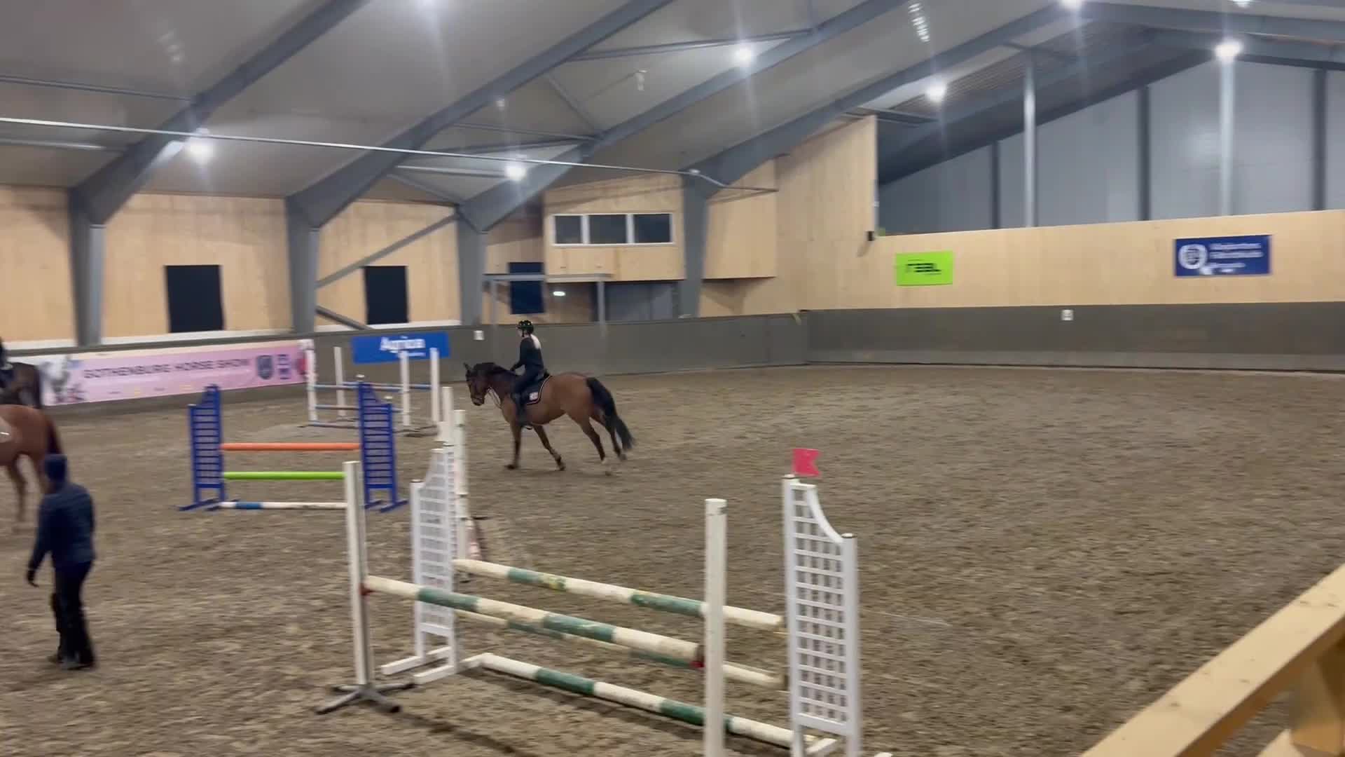 Hoppning hästar till salu: Häst med mycket power e:Balou du rouet - Video 1