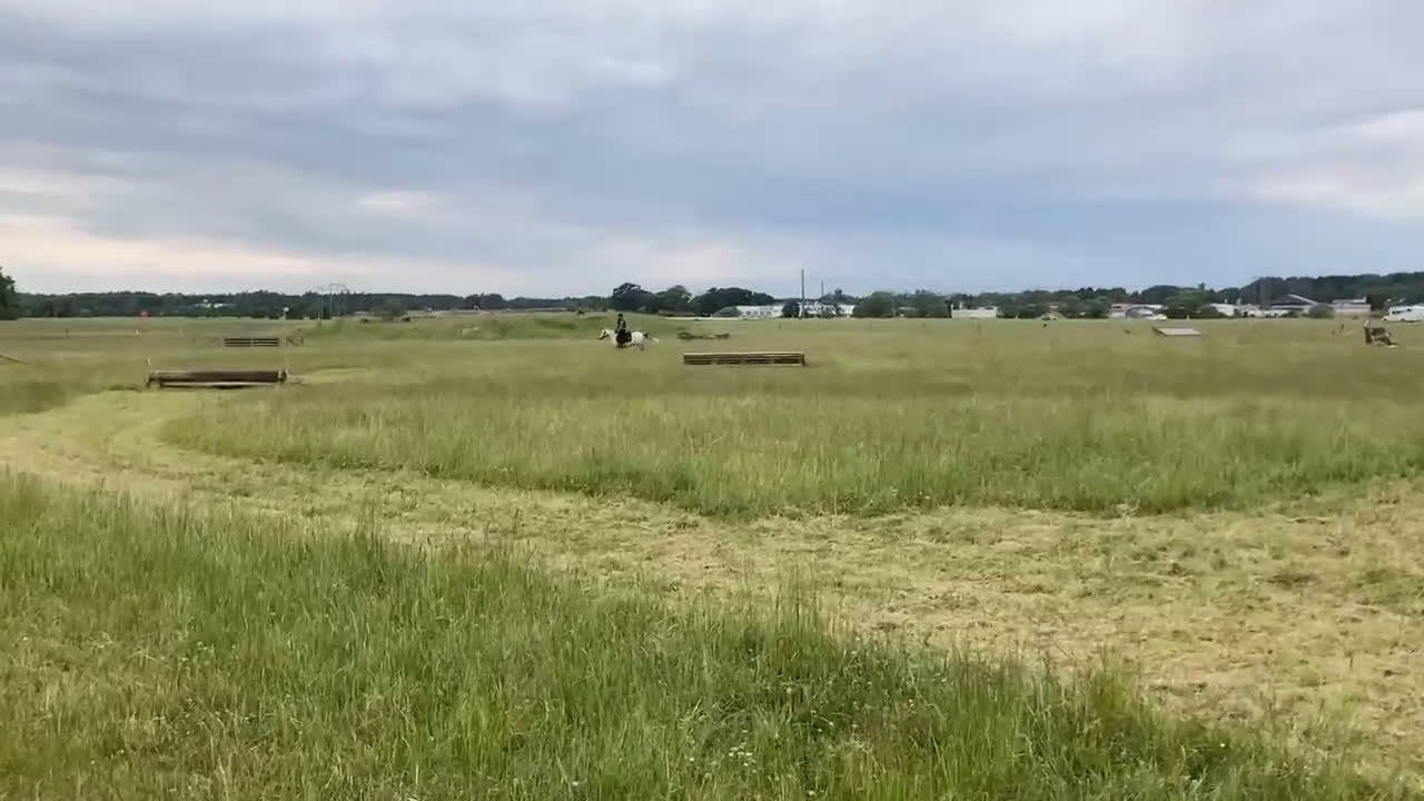 Allround hästar till salu: B- ponny säljes!  i Falköping - Video 3