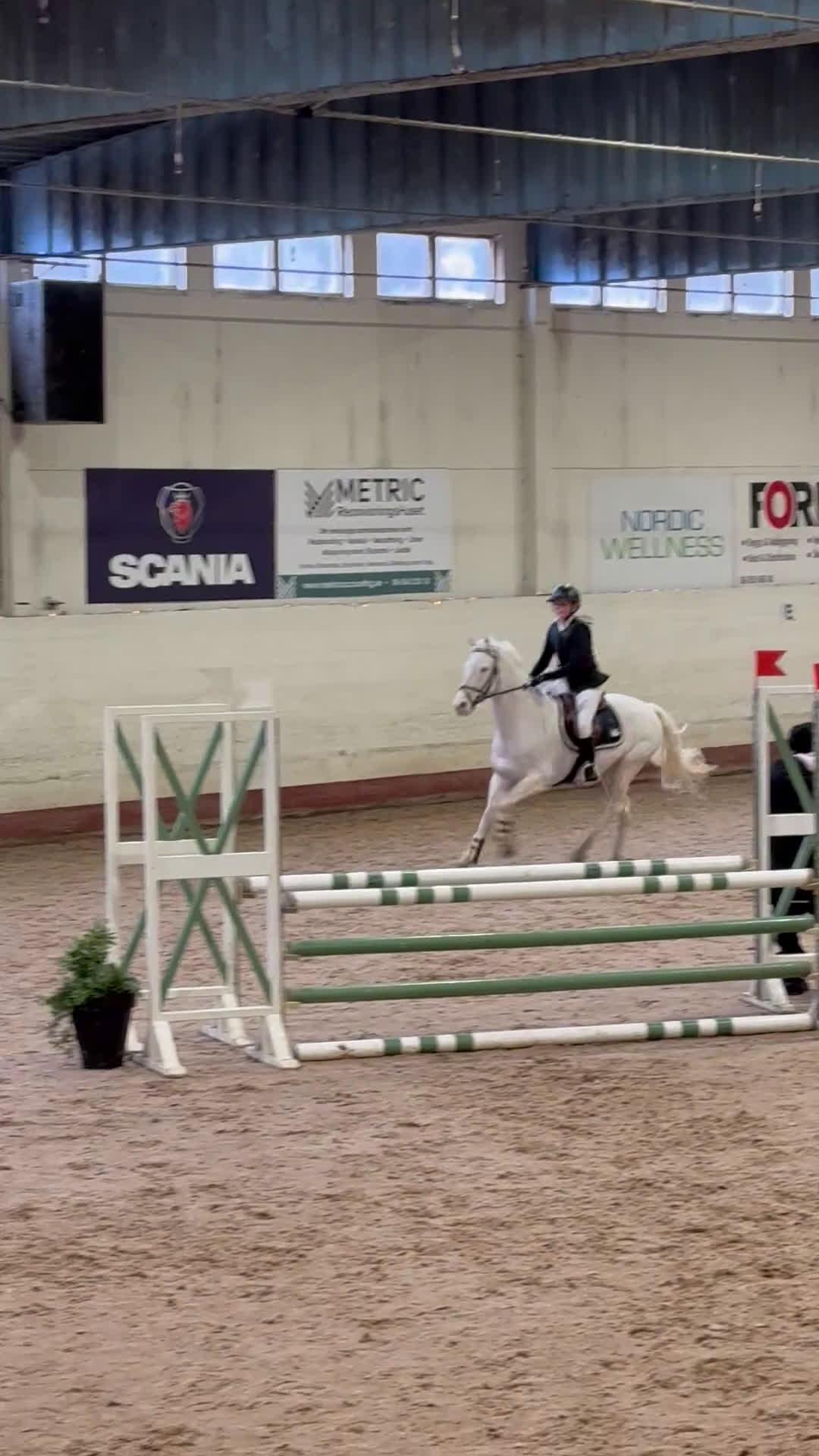 Hoppning hästar till salu: Fantastisk D-ponny med hjärta av guld - Video 1