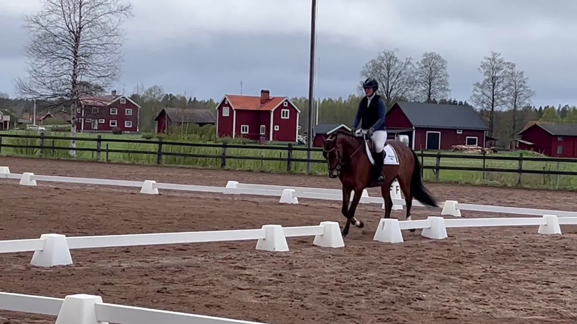 Hoppning hästar till salu: Positiv och uttrycksfull tjej i Dala-järna - Video 4