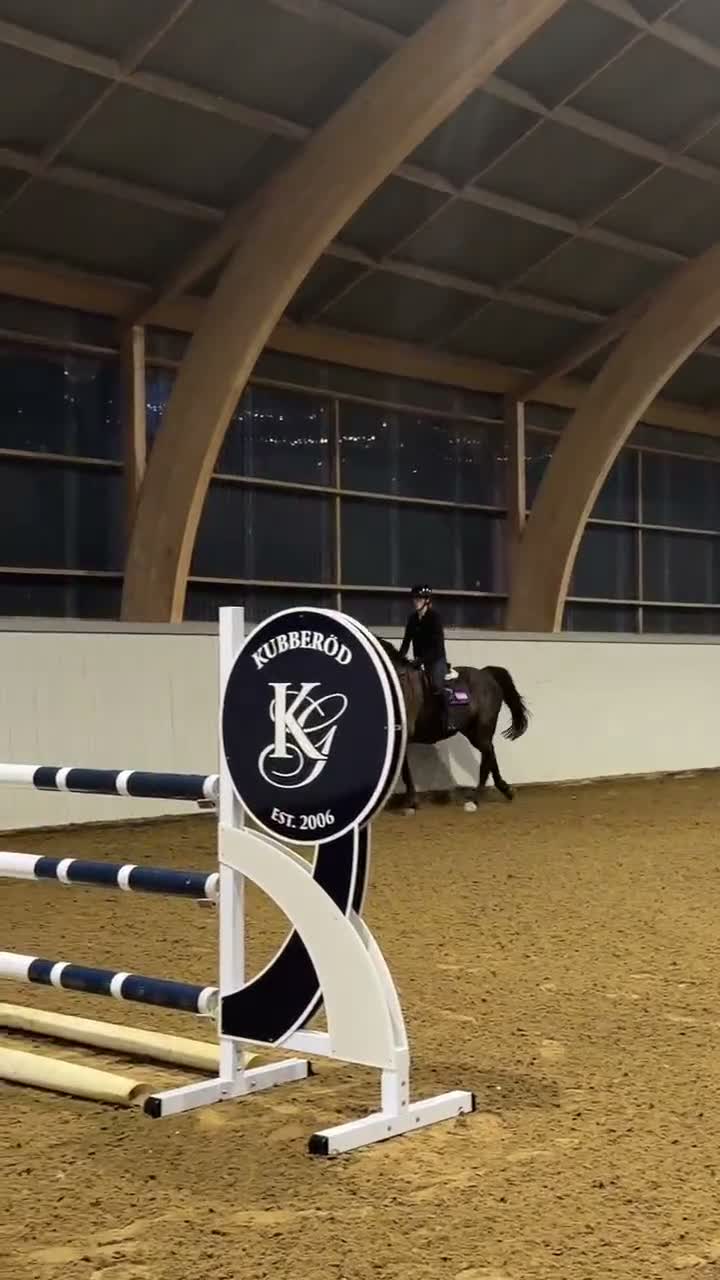 Allround hästar till salu: Trevlig allround valack  - Video 1