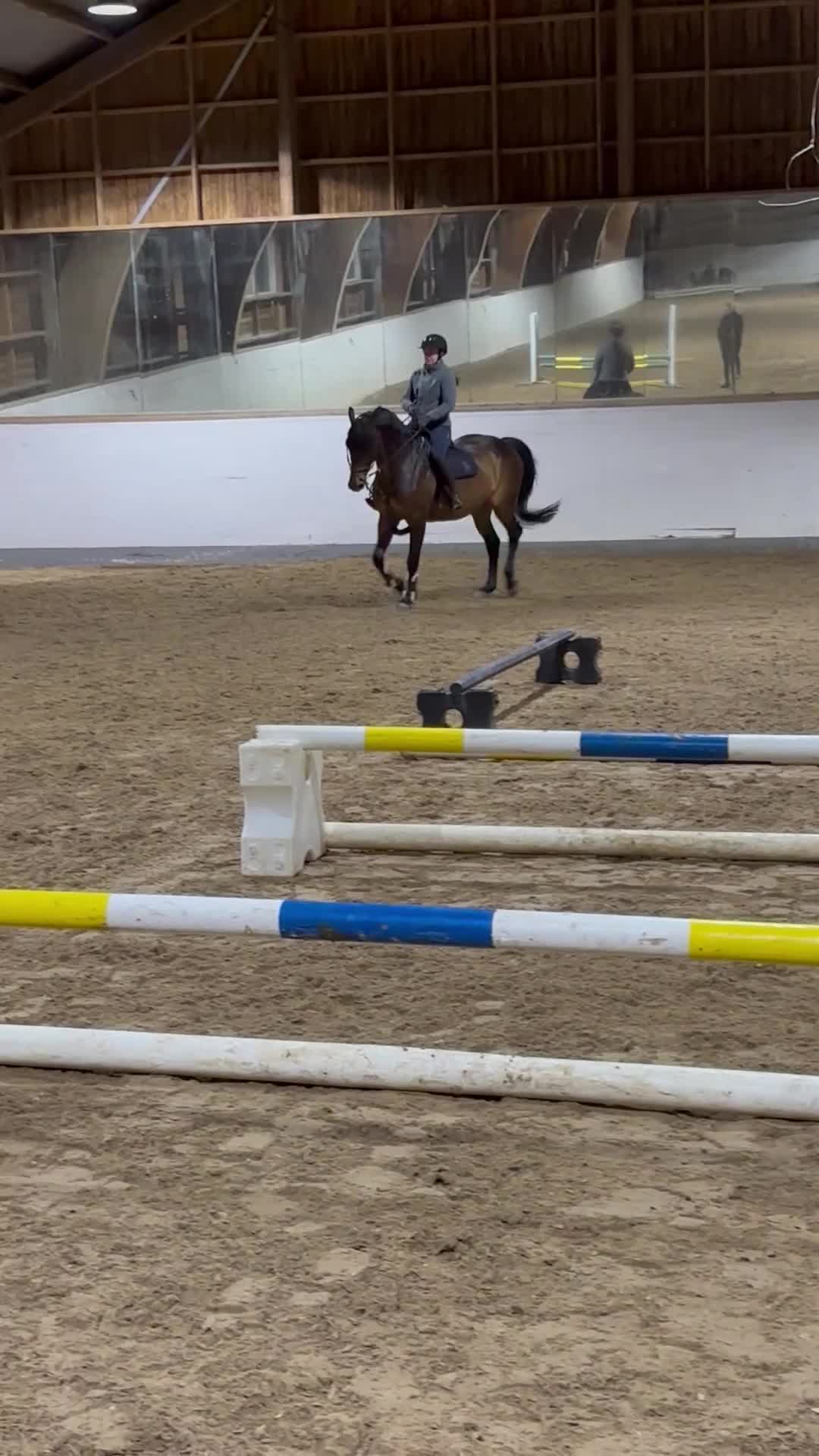 Hoppning hästar till salu: Fantastisk sto till salu i Tungelsta - Video 2