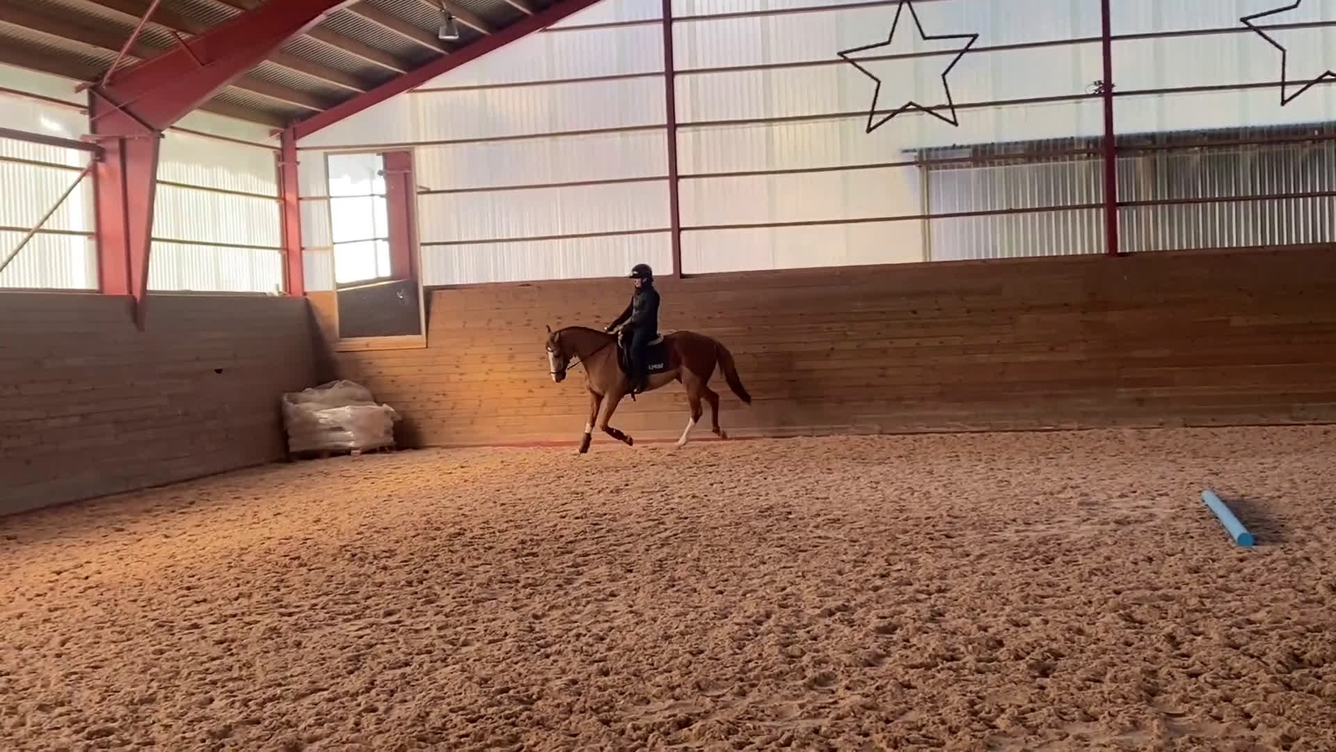 Allround hästar till salu: Trevlig valack 6 år - allround/fälttävlan - Video 1