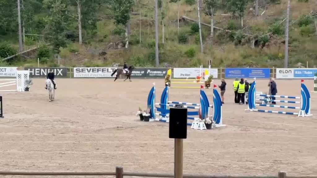 Hoppning hästar till salu: C-ponny sto -13 i Norberg - Video 2