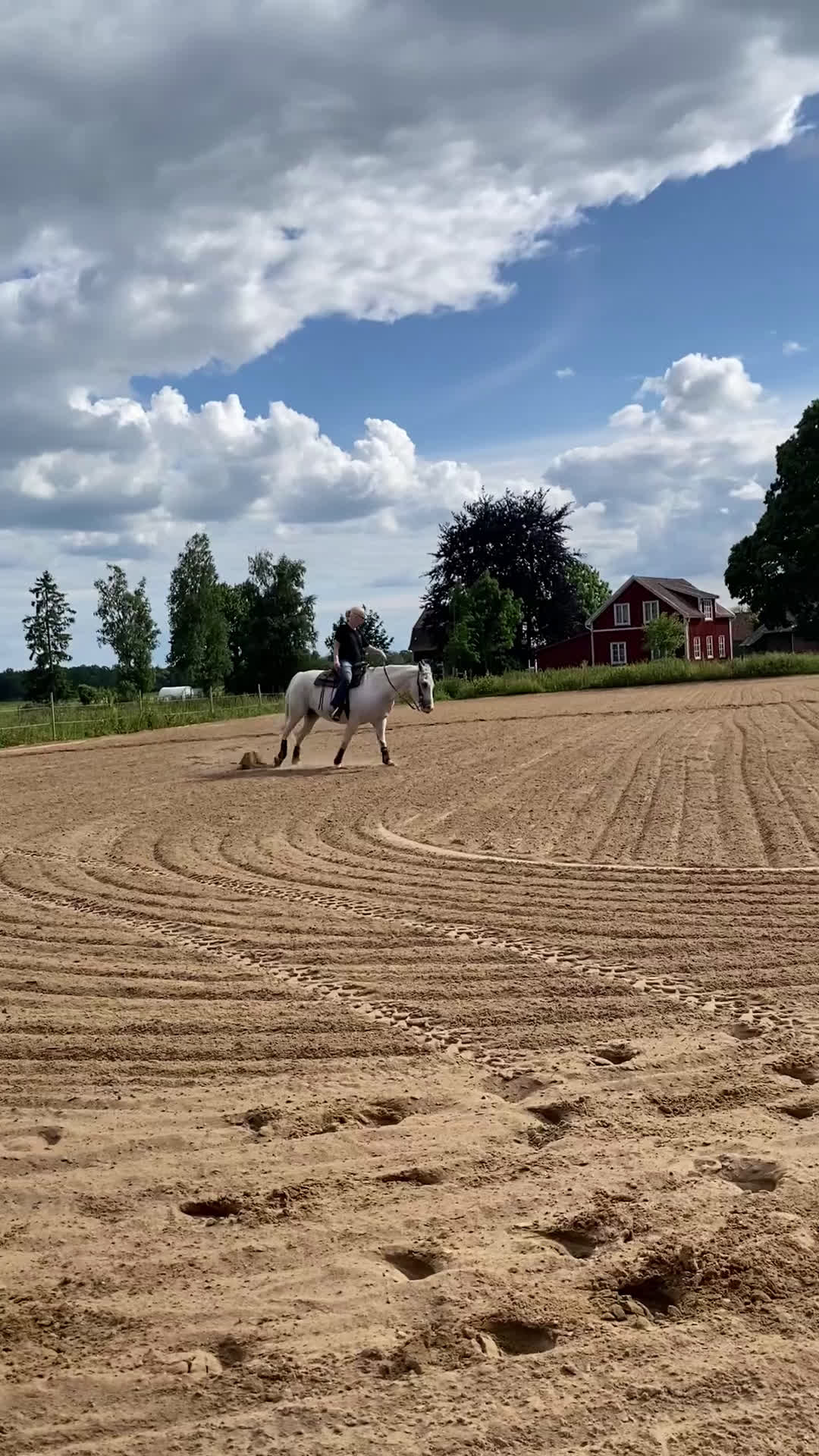 Western hästar till salu: Lovande tävlingshäst, nybesiktigad ua 18/10 i Broddetorp - Video 2