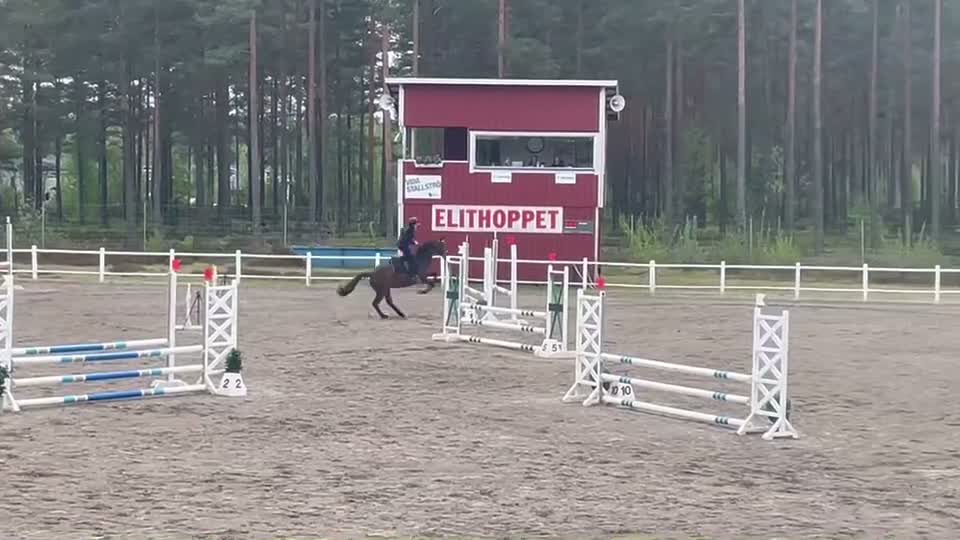 Hoppning hästar till salu: ⭐️ Power ponny ⭐️ i Gislaved - Video 2