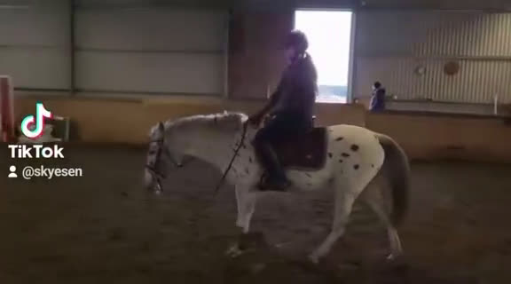 Allround hästar till salu: Mor och dotter ponny - Video 1