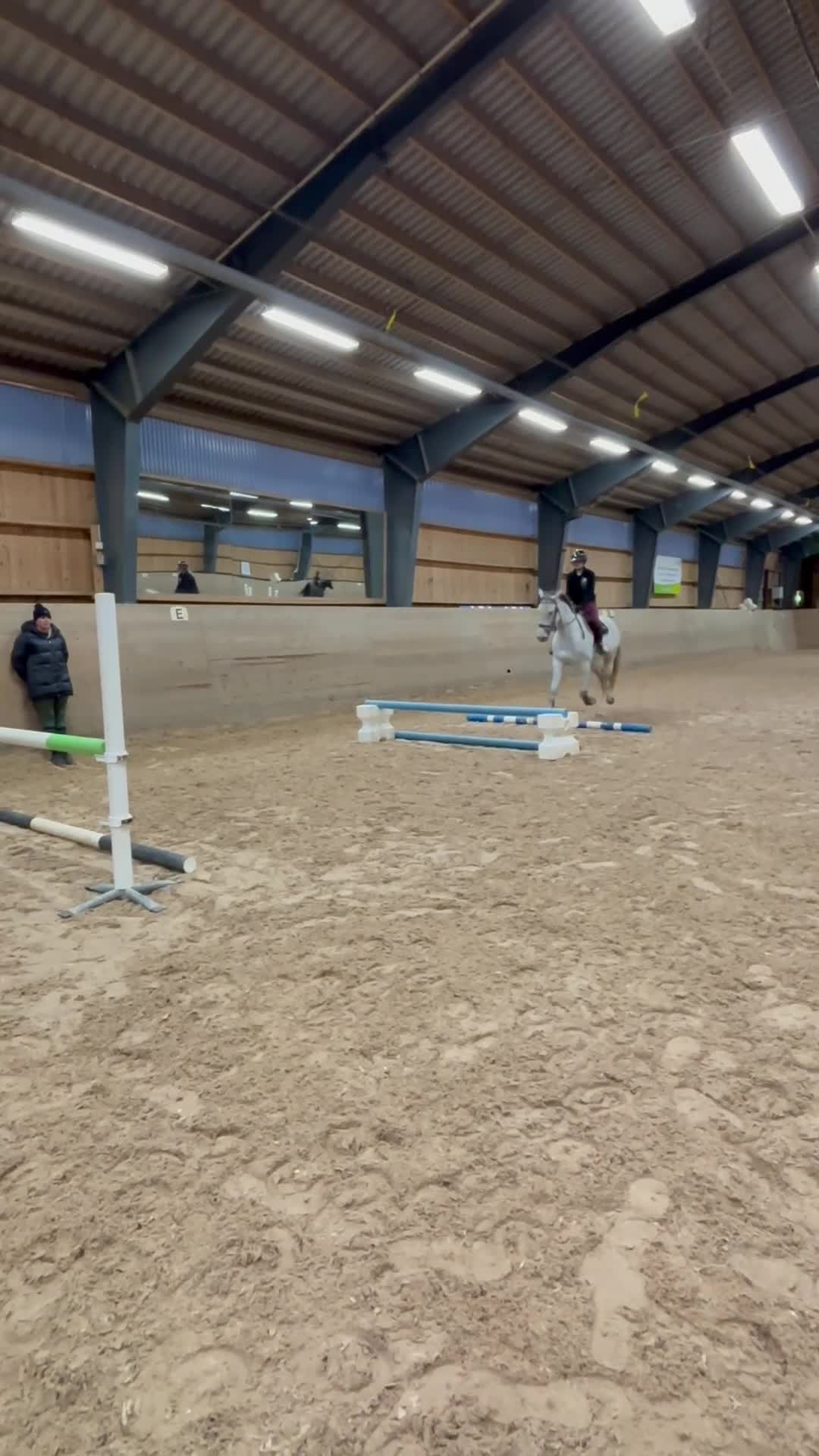 Hoppning hästar till salu: Hoppsto för den sattsande - Video 3