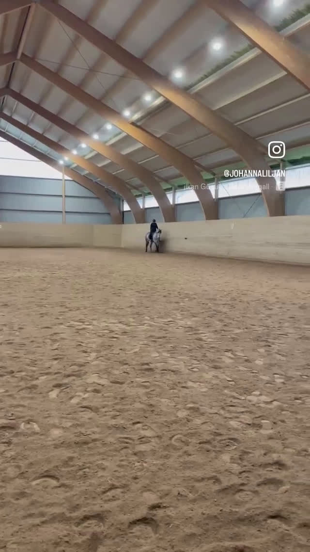 Allround hästar till salu: Superfin PRE valack  - Video 2