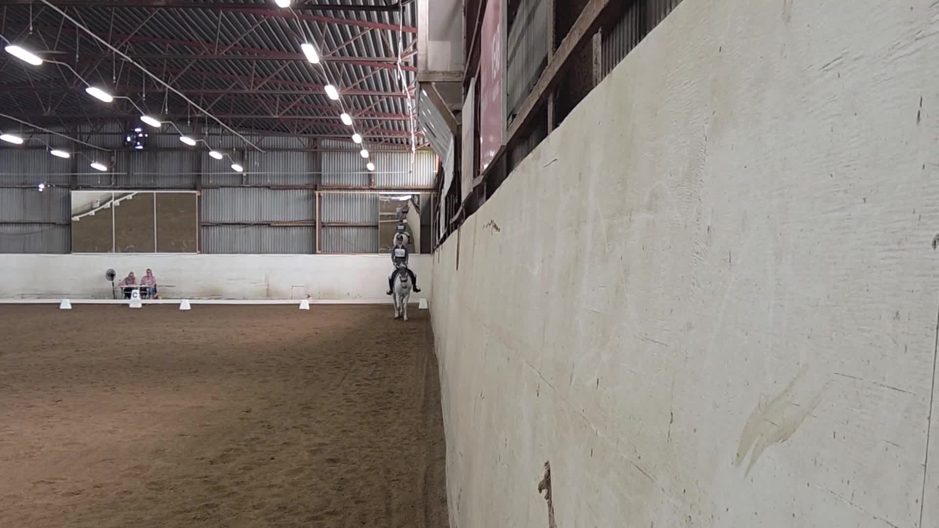 Allround hästar till salu: Första tävlingskompis och bästa vän. - Video 5